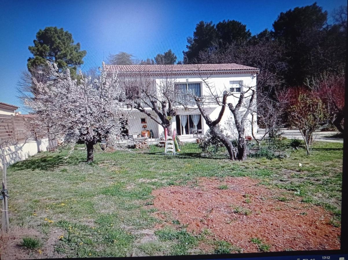 La Maison De Papou La Vigne A Nans Les Pins 83860 Экстерьер фото