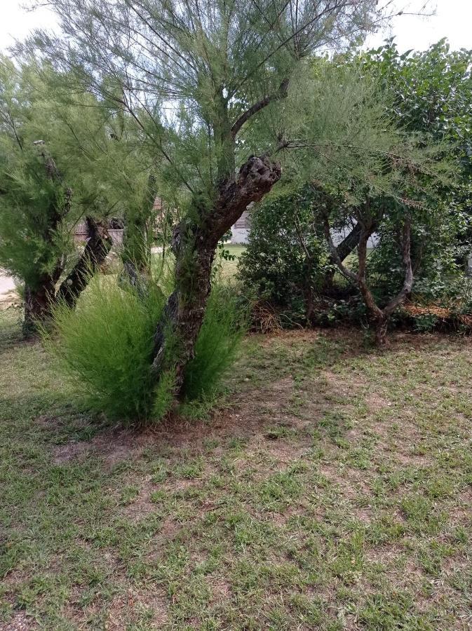 La Maison De Papou La Vigne A Nans Les Pins 83860 Экстерьер фото